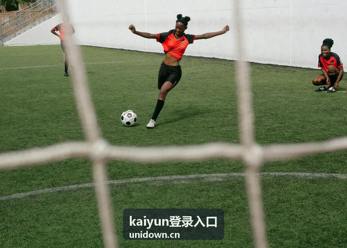 kaiyun登录入口 账号安全设置示意图，展示密码与验证方式的检查顺序